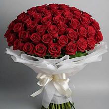 Букет 101 Красная роза Блэк Мэджик в Среднем