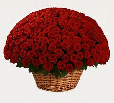 Премиум букет из: Розы в Среднем